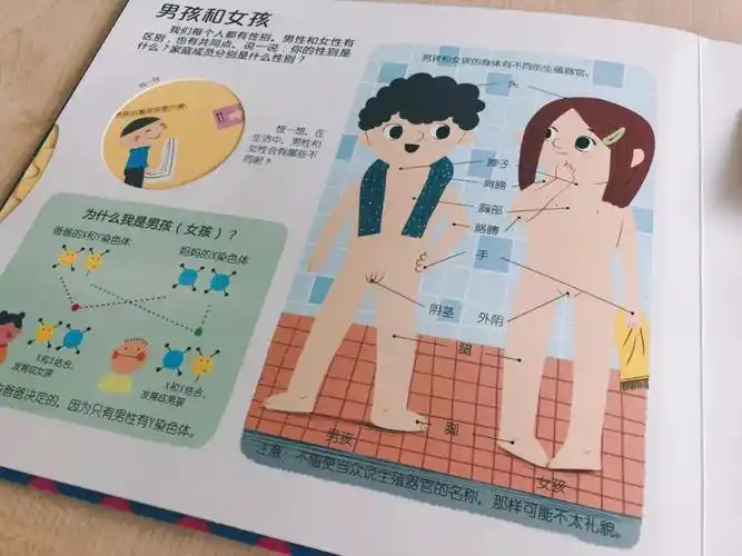告别谈「性」色变,幼儿性启蒙这么教,简单又实用