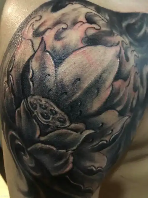 半胛 唐狮 荷花_纹身图案手稿图片_ 任浩东的纹身作品集