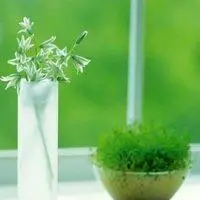 身体好心情好头像_微信头像图片大全