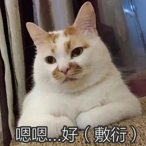嗯嗯好(敷行(猫咪表情包)