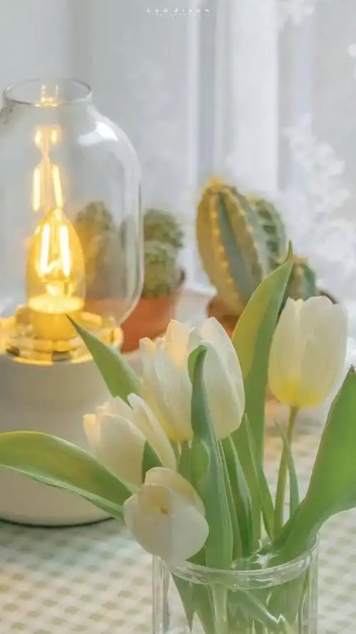 清新ins风简约锁屏壁纸_网易订阅