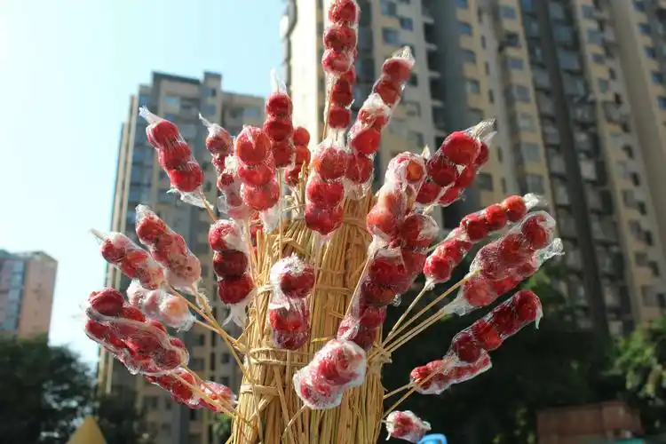 冰糖葫芦 - 美篇