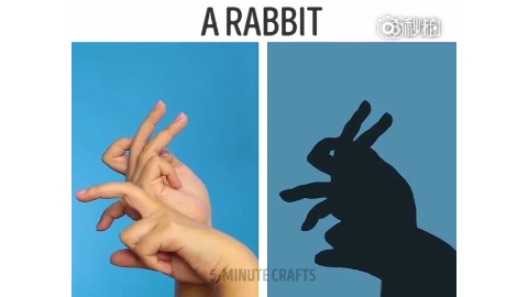 用手影摆出各种小动物,卧槽,厉害啦,可以学起来教小朋友