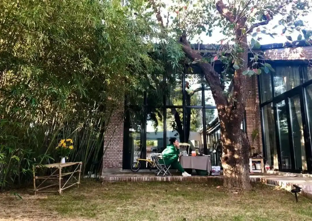 43岁殷桃住北京豪宅,喜欢养名贵花卉,网友:家如其人!