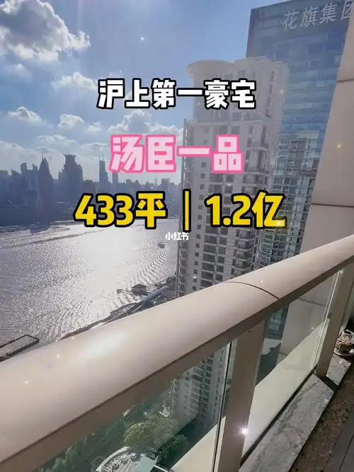 美好生活从住进这套江景房开始汤臣一品的