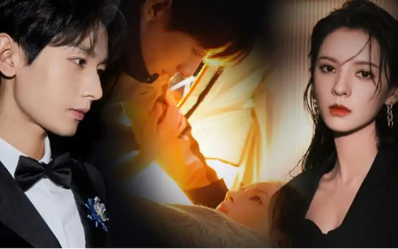 成毅x张予曦吸血鬼恋人用吸血鬼日记思路打开南风知我意感谢今生能够