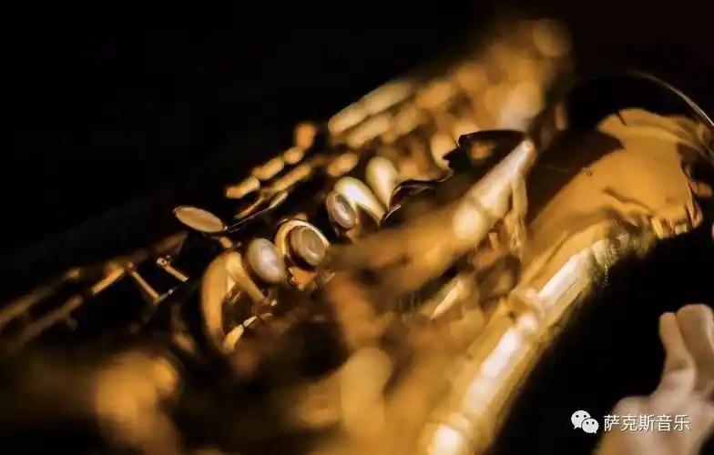 【two of a kind】麦克林顿michael lington唯美萨克斯音乐