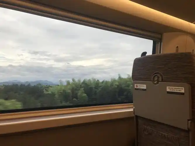 没想到会有这么多人喜欢再分享一点吧 这是去时高铁上拍的 感觉像个