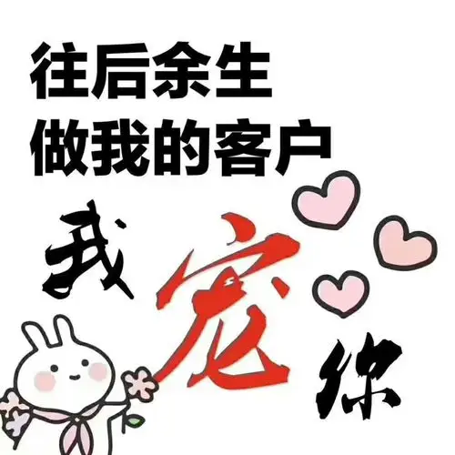 双十一马上就到了,我的客户来来我宠你 7月前