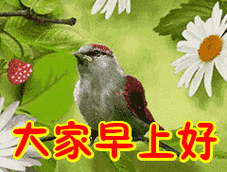 首页 搞笑表情包 大家早上好表情包