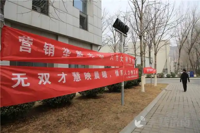 女生节创意横幅挂满大学校园总有一条能打动你