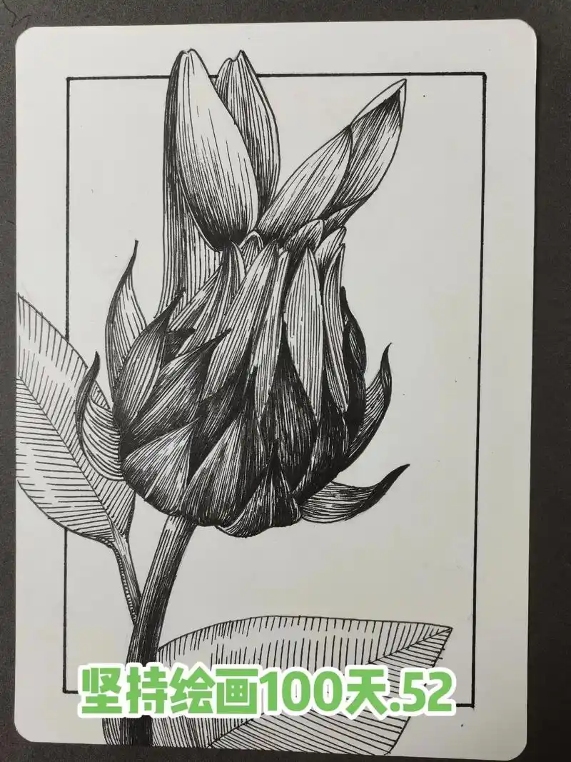 跟我一起画吧#画画 #手绘 #黑白线描画 #绘画  - 抖音