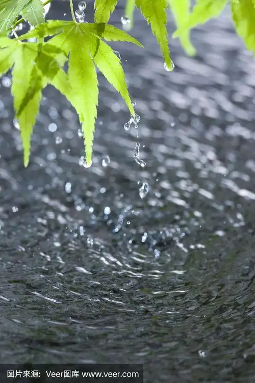雨图片