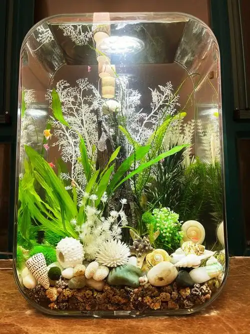 biorb60l时尚鱼缸