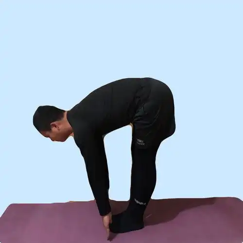 3.站立前屈伸展式