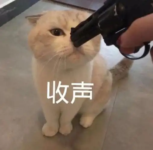 日常聊天表情包来啦