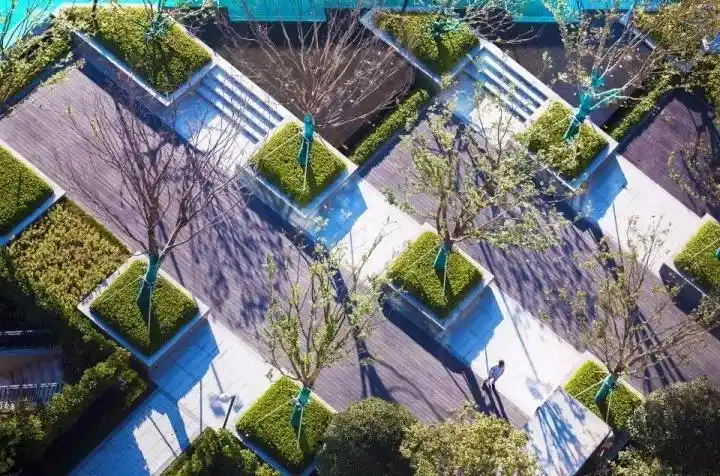 树阵景观,竟然这么美