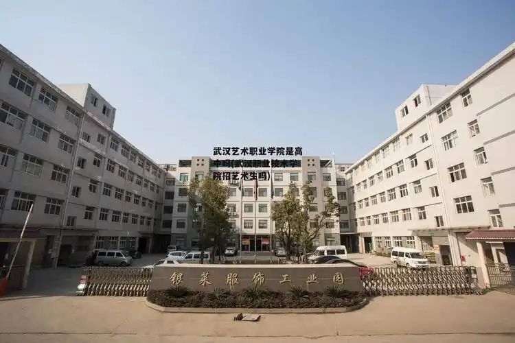 武汉艺术职业学院是高中吗(武汉职业技术学院招艺术生吗)