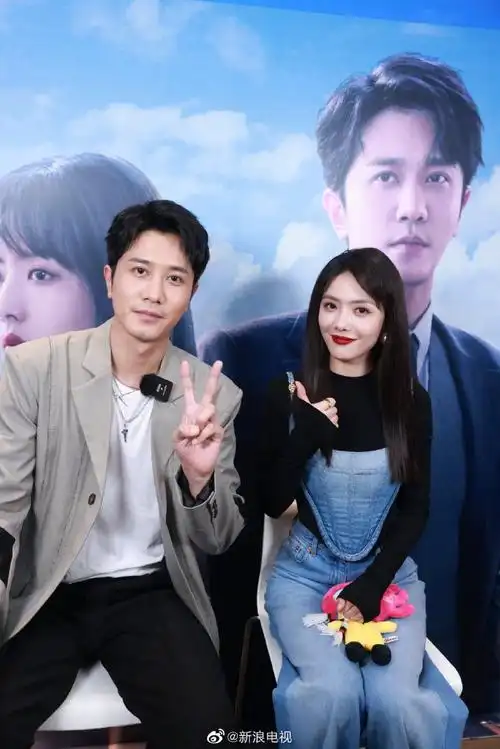 蔡文静彭冠英专治意难平