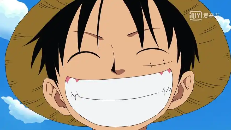 写给海贼王路飞的第4封信