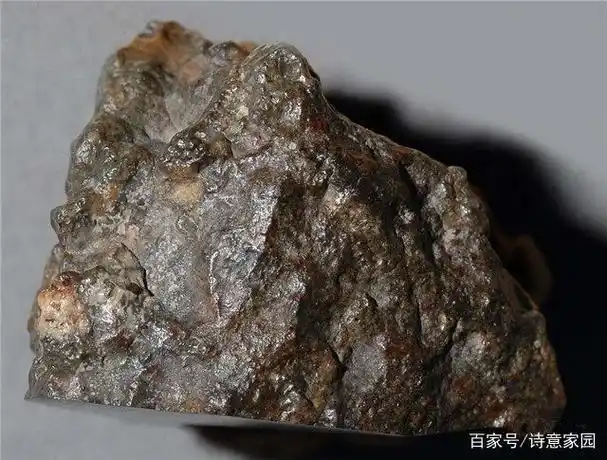 传说中的"月球陨石"