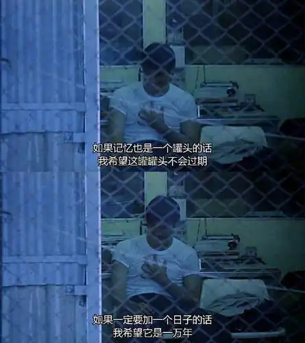 "秋刀鱼会过期|过期|秋刀鱼|重庆森林_新浪网