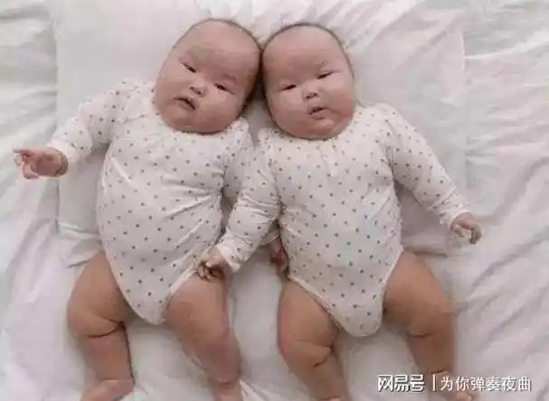 张杰谢娜家里有一对双胞胎宝宝生活将是怎样一种体验