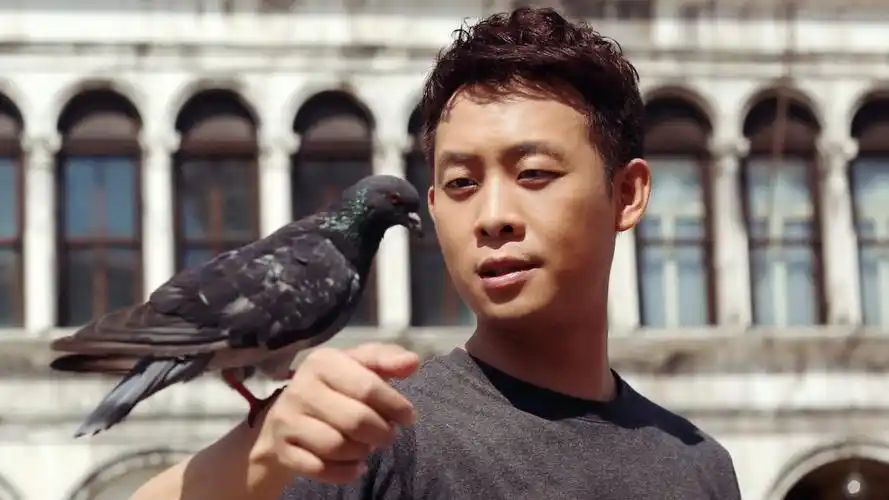 张译面相分析,观音灵签洪武看牛,属马什么生肖配对最好