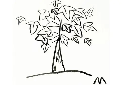 简单漂亮的枫树简笔画 大树简笔画