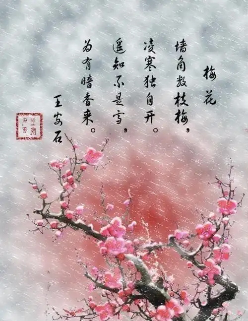 老师告诉我们,在古代有一位特别厉害的大诗人,名字叫做王安石,他写了