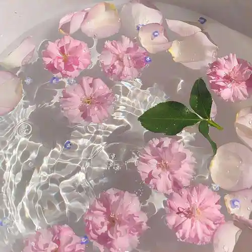 背景图 | 可爱治愈朋友圈封面