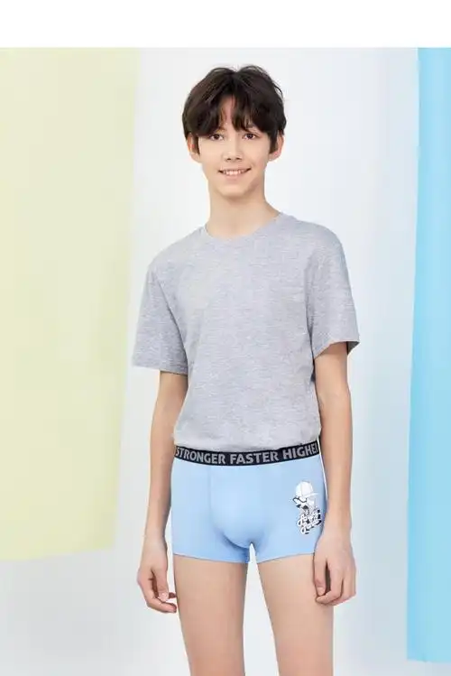 2条装爱慕儿童爱慕少年内裤中腰平角裤两件包男孩恐龙印花2条装赛场