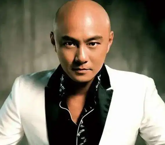 男人最痛娱乐圈秃头明星大全你地老公都这法媒辣评堪称秃头之光的十大