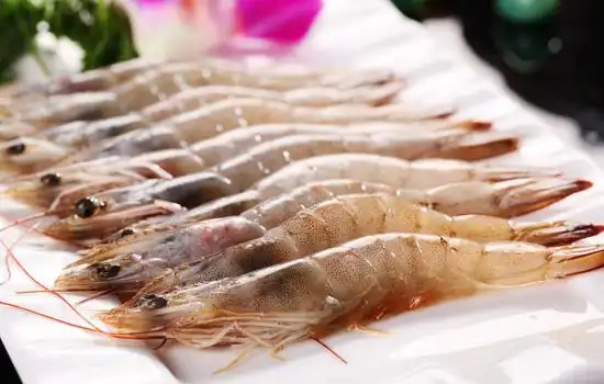 基围虾是什么虾?基围虾品种特点及图片大全