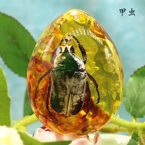 大号真昆虫琥珀挂坠 个性水晶项链吊坠 diy树脂饰品配件