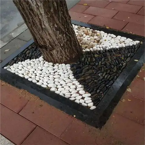 白色石子厂家树坑水池白色鹅卵石价格