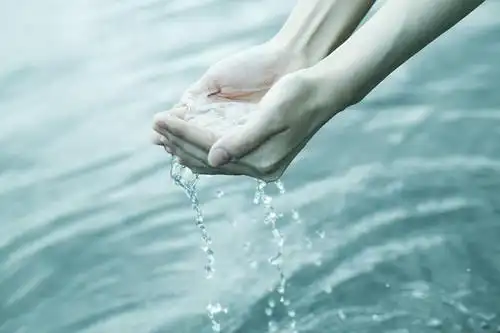 东方人,手,一个人,捧,横图,俯视,室外,特写,白天,水,亚洲,双手,仅一个