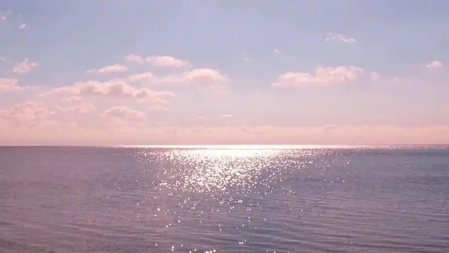 淘宝好的项链品牌推荐(淘宝上有哪些好看,值得推荐的首饰店) - 九联网