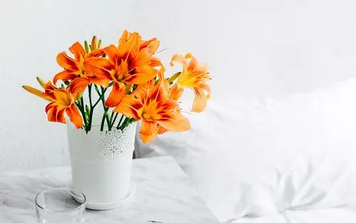 电脑壁纸 摄影 静物写真 清新文艺的插花