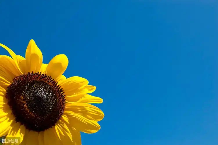 包含女孩子阳光积极向上的句子的词条