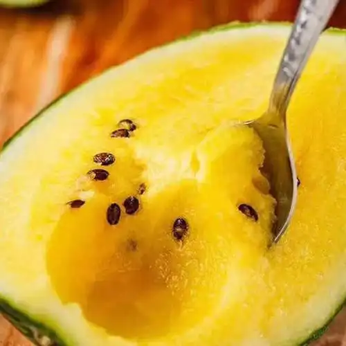 广东特小凤黄心黄瓤西瓜新鲜水果 1个(4斤左右)