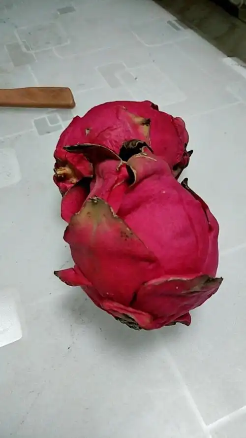 红心火龙果2个装 单果350g-400g 新鲜水果 满满花青素的甜蜜红果 青孖