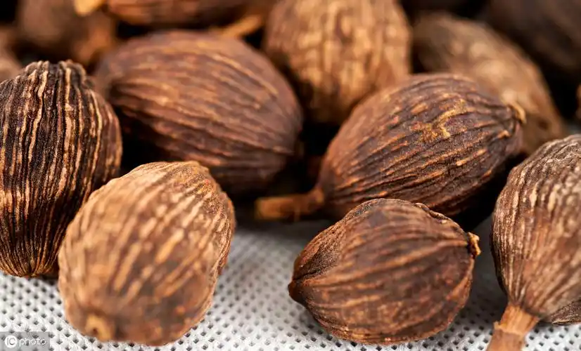 砂仁的功效与作用禁忌(你身边的中草药) - 行就行