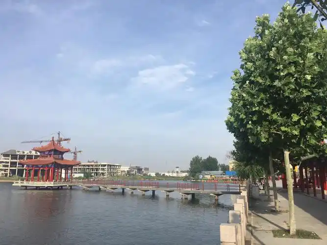 曹县 菏泽 山东 中国