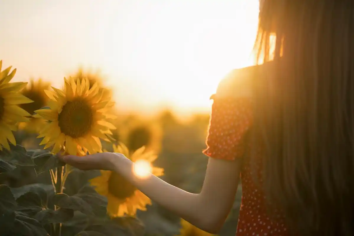 生活,不过如此温柔以待,感恩每一刻的小确幸.989393"