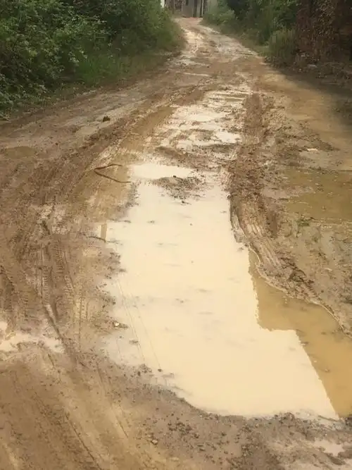 湖南省双峰县洪山殿镇太平寺村马路是烂泥路