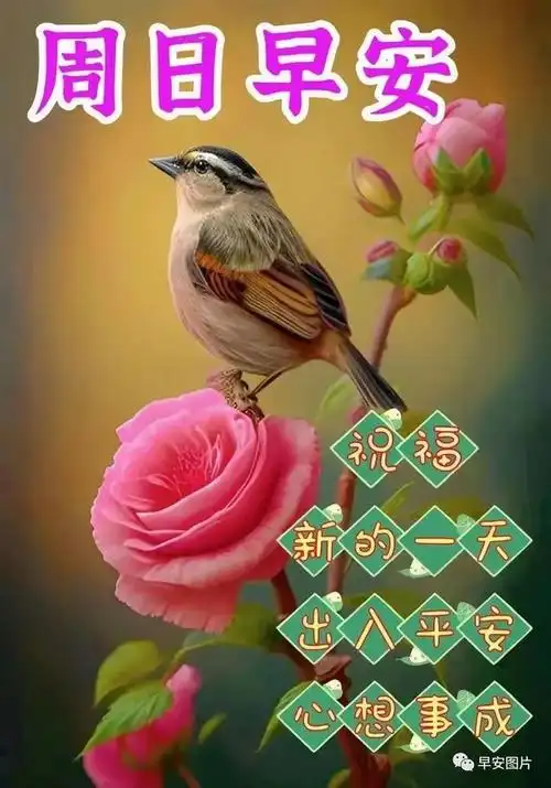 7月16日最新早上好漂亮图片祝福语