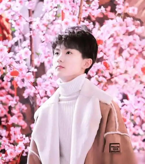 还有人不认识时代少年团中的马嘉祺又一国风美少年不能埋没