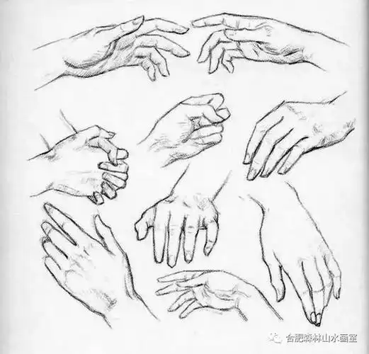 速写手部姿势_合肥森林山水画室_零二七艺考