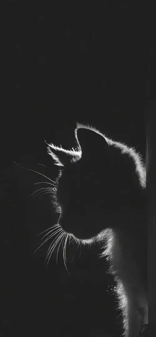 黑夜的黑 - 堆糖,美图壁纸兴趣社区